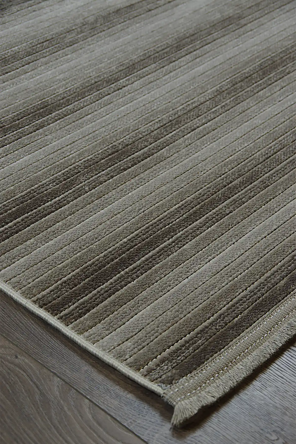 Text